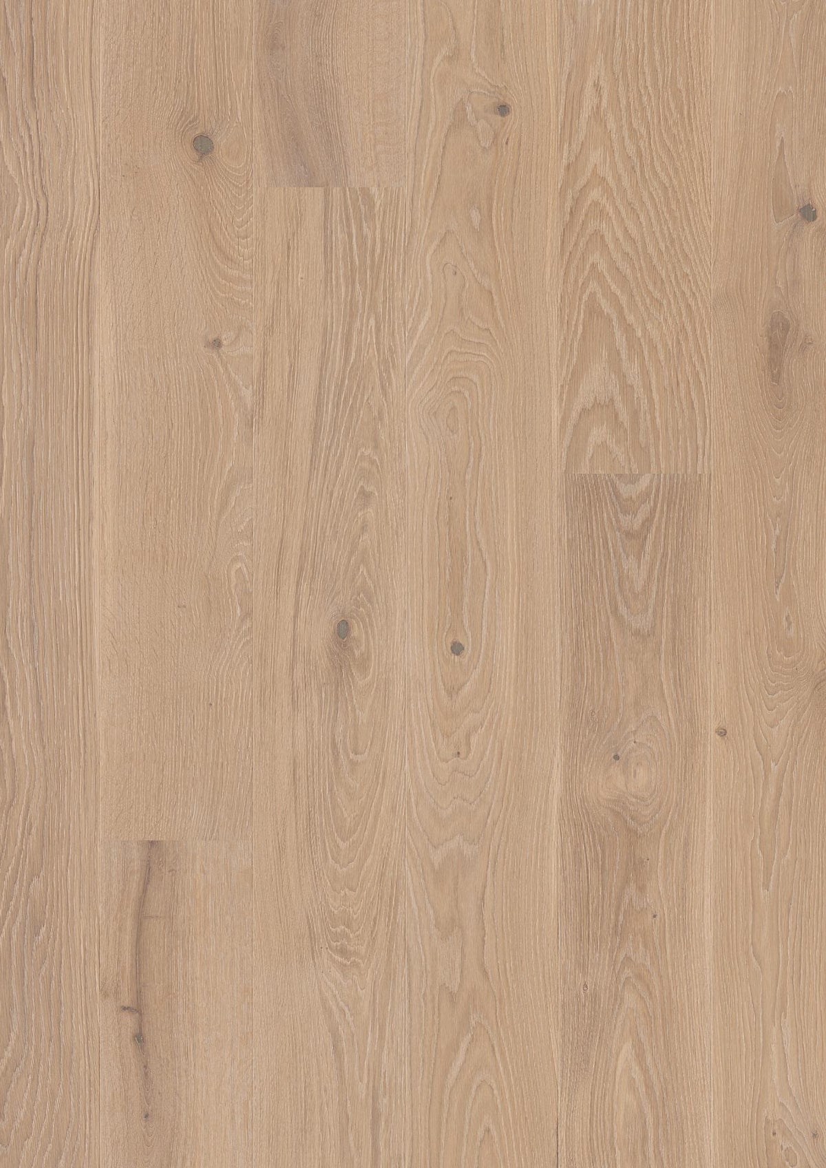 Boen Animoso Engineered Coral Oak Planks Flooring, Brushed & L/Natural: 14.0 x 209 x 2,200 mm