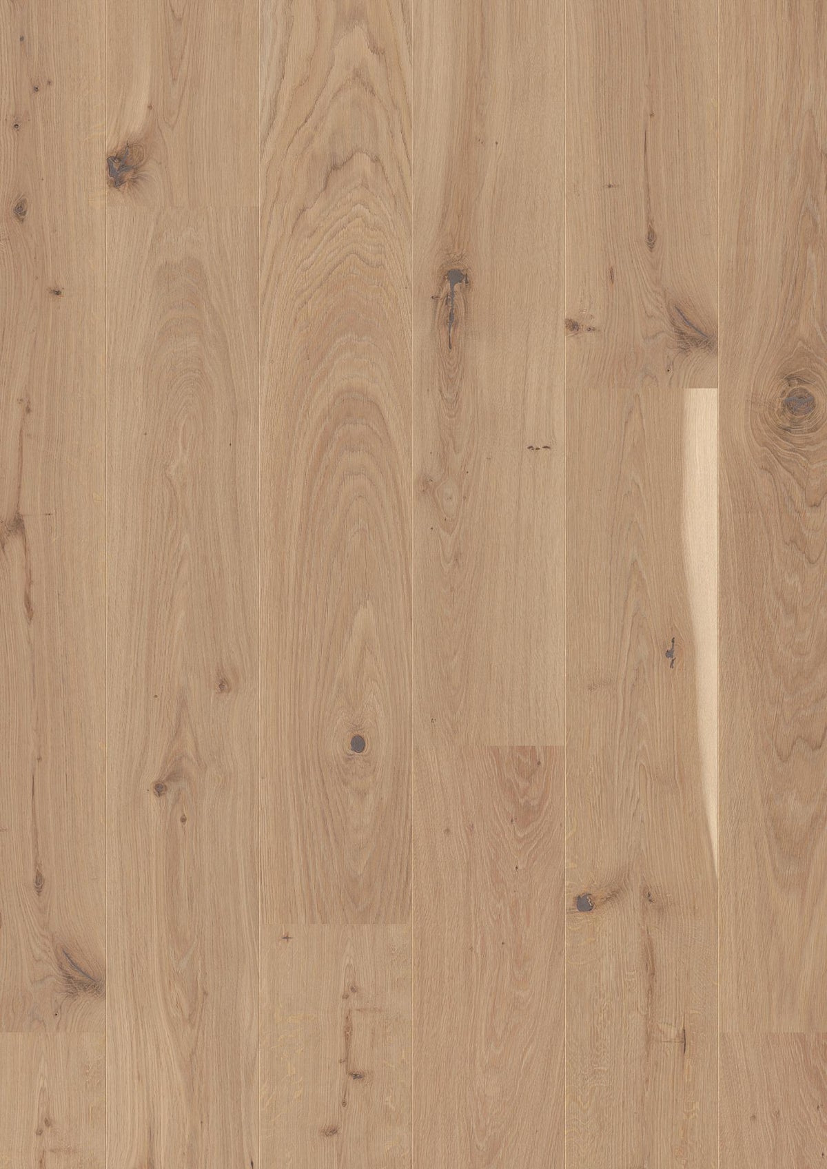Boen Vivo Engineered Oak Planks Flooring, Brushed & L/Pure: 14.0 x 209 x 2,200 mm