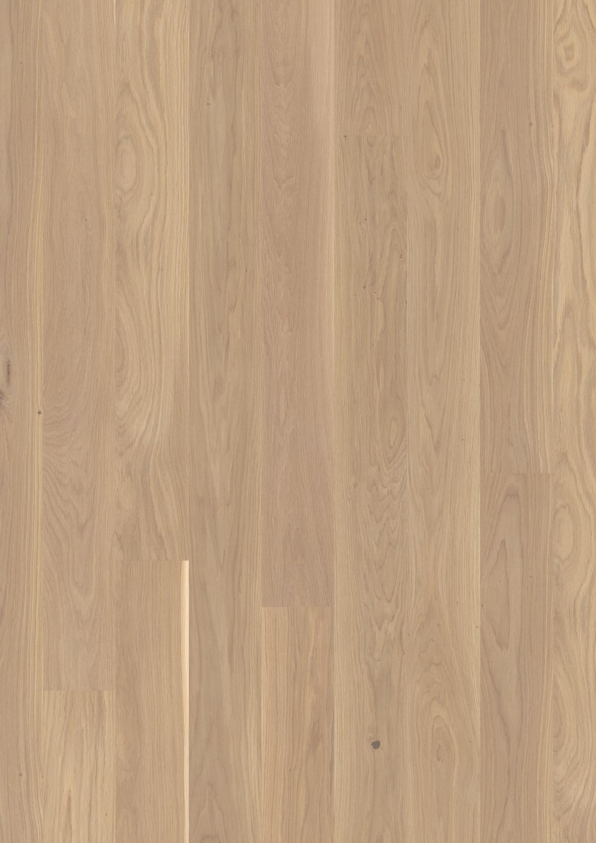 Boen Andante Engineered White Oak Planks Flooring, L/Natural: 14.0 x 138 x 2,200 mm