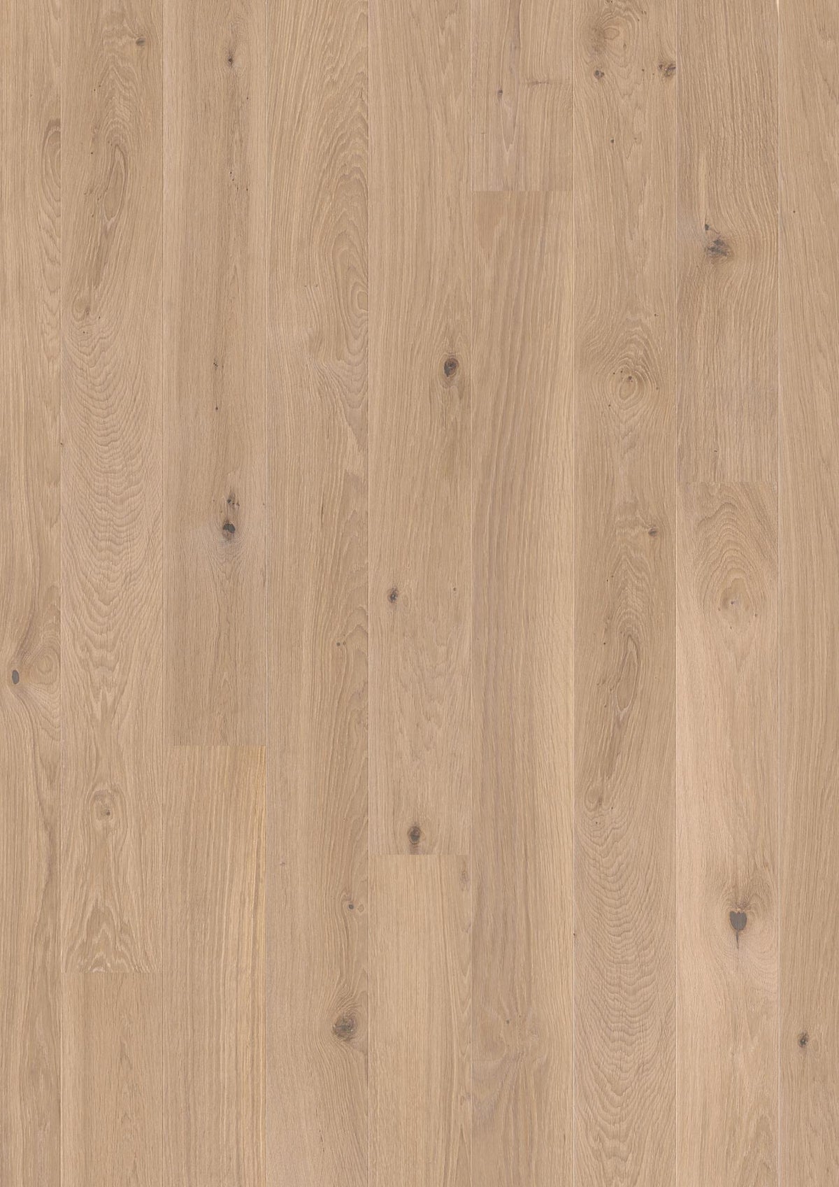 Boen Animoso Engineered White Oak Planks Flooring, L/Matt: 14.0 x 138 x 2,200 mm
