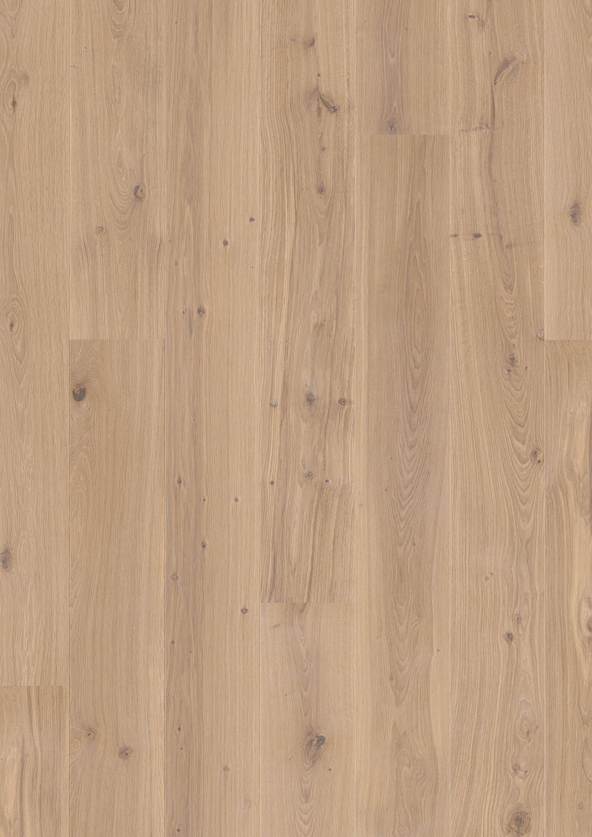 Boen Animoso Engineered White Oak Planks Flooring, L/Natural: 13.2 x 181 x 2,200 mm