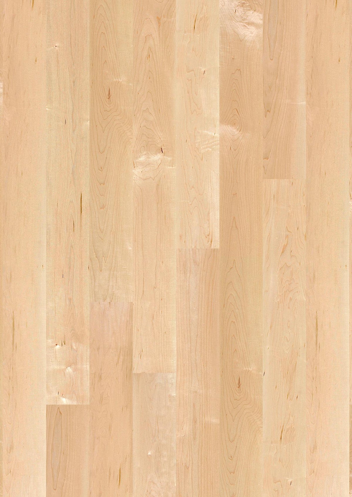 Boen Andante Engineered Maple Planks Flooring, L/Matt: 14.0 x 138 x 2,200 mm