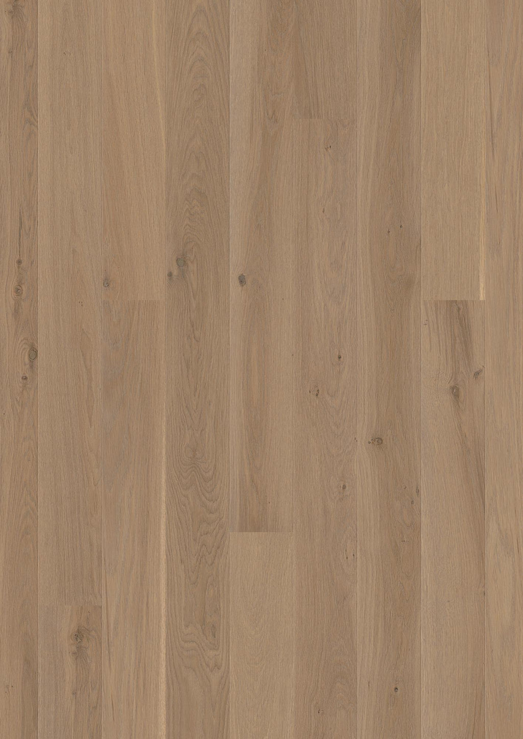 Boen Animoso Engineered Sand Oak Planks Flooring, Brushed & L/Natural: 14.0 x 138 x 2,200 mm