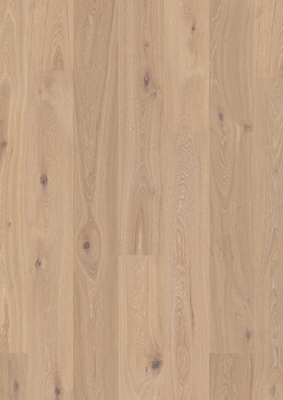 Boen Animoso Engineered Coral Oak Planks Flooring, L/Natural: 13.2 x 181 x 2,200 mm