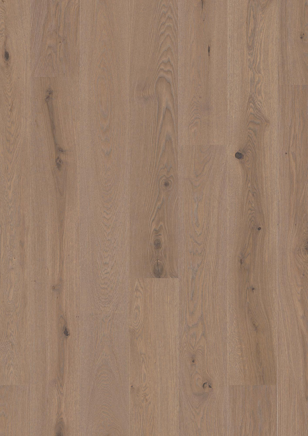 Boen Animoso Engineered Sand Oak Planks Flooring, Unbrushed & L/Natural: 13.2 x 181 x 2,200 mm