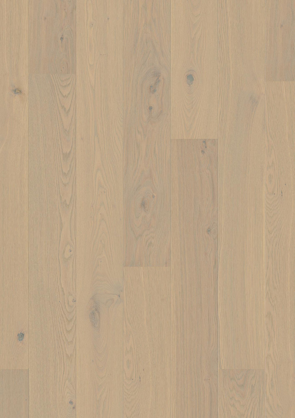 Boen Animoso Engineered Warm Cotton Oak Planks Flooring, Brushed & L/Pure: 13.2 x 181 x 2,200 mm