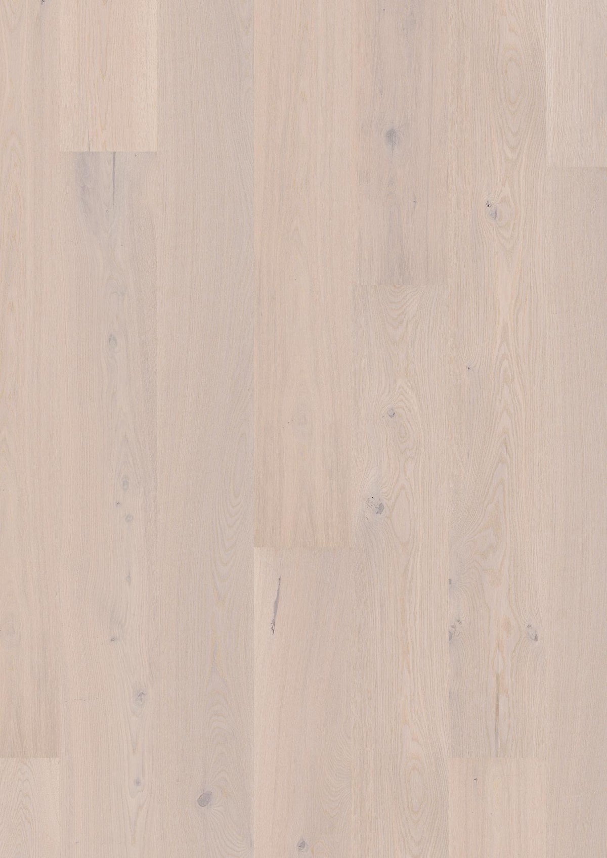 Boen Animoso Engineered Pearl Oak Planks Flooring, L/Natural: 13.2 x 181 x 2,200 mm
