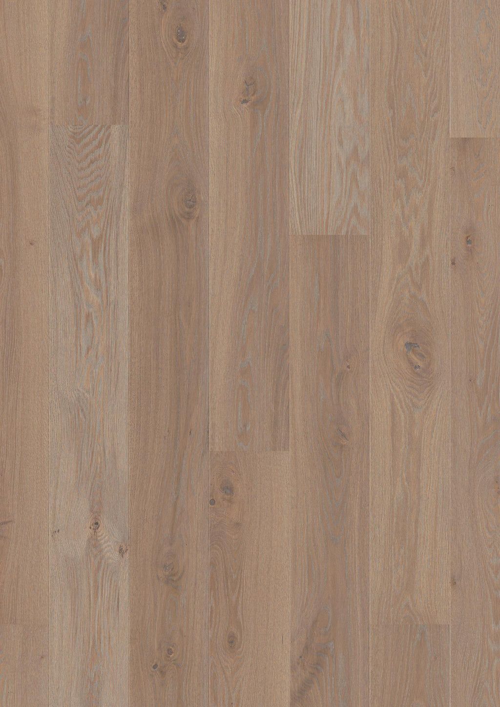 Boen Animoso Engineered Warm Grey Oak Planks Flooring, Brushed & L/Pure: 13.2 x 181 x 2,200 mm