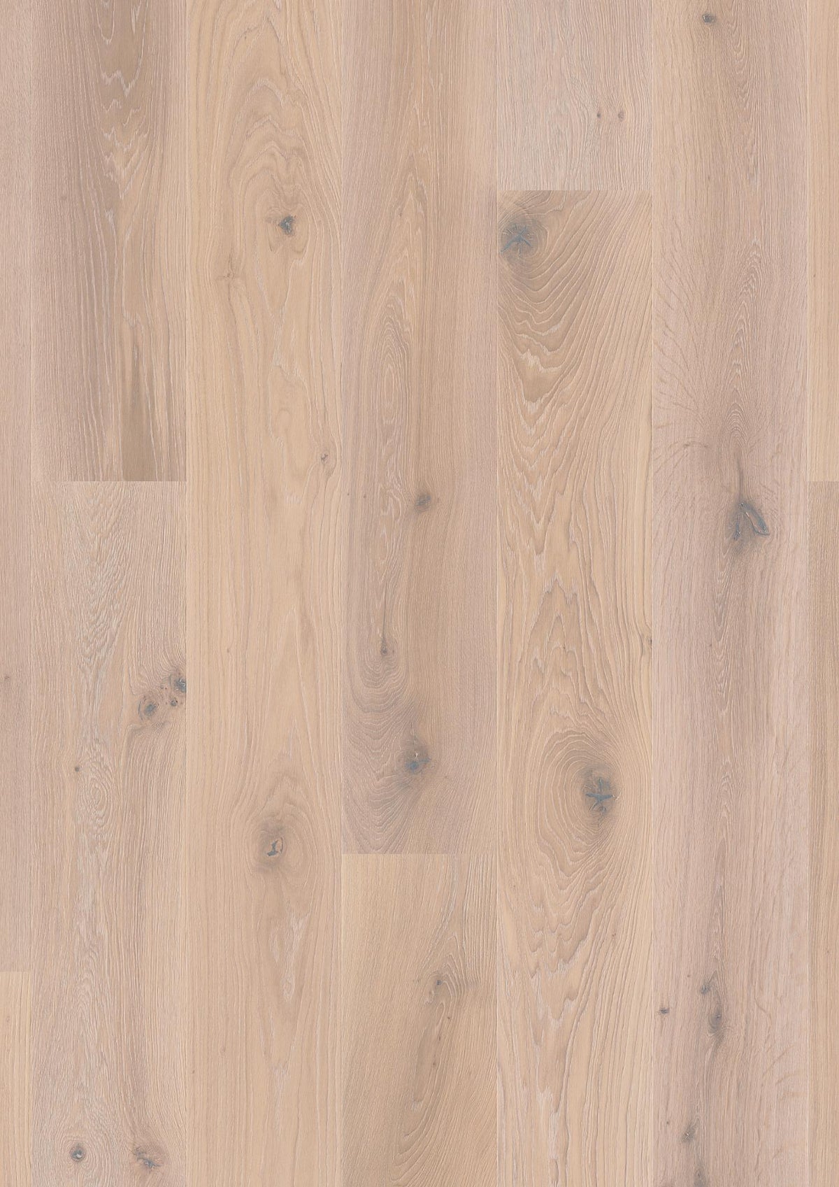 Boen Vivo Engineered White Nights Oak Planks Flooring, Double Brushed & L/Natural: 14.0 x 209 x 2,200 mm
