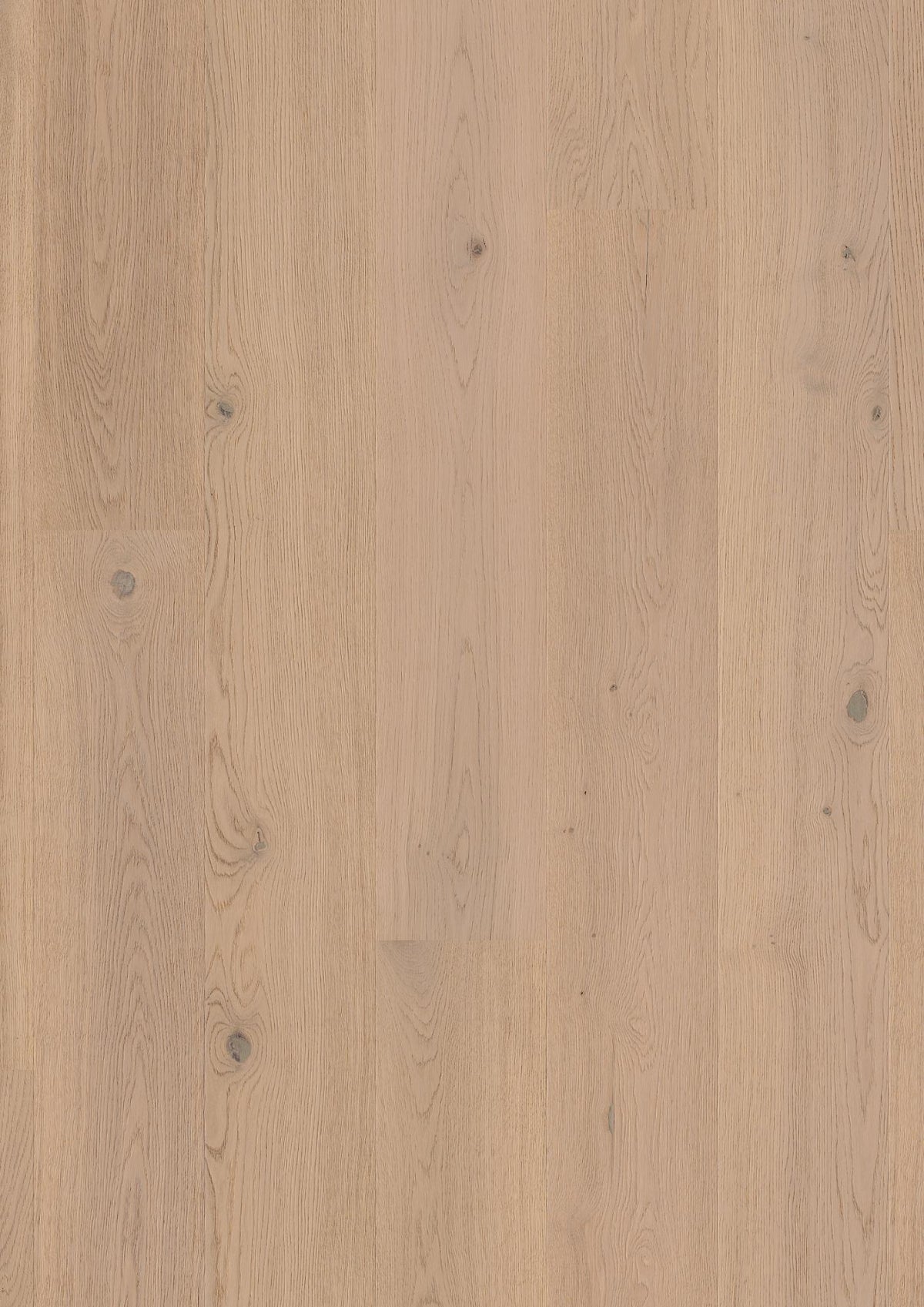 Boen Animoso Engineered Fresh White Oak Planks Flooring, Brushed & L/Matt Pro: 14.0 x 209 x 2,200 mm