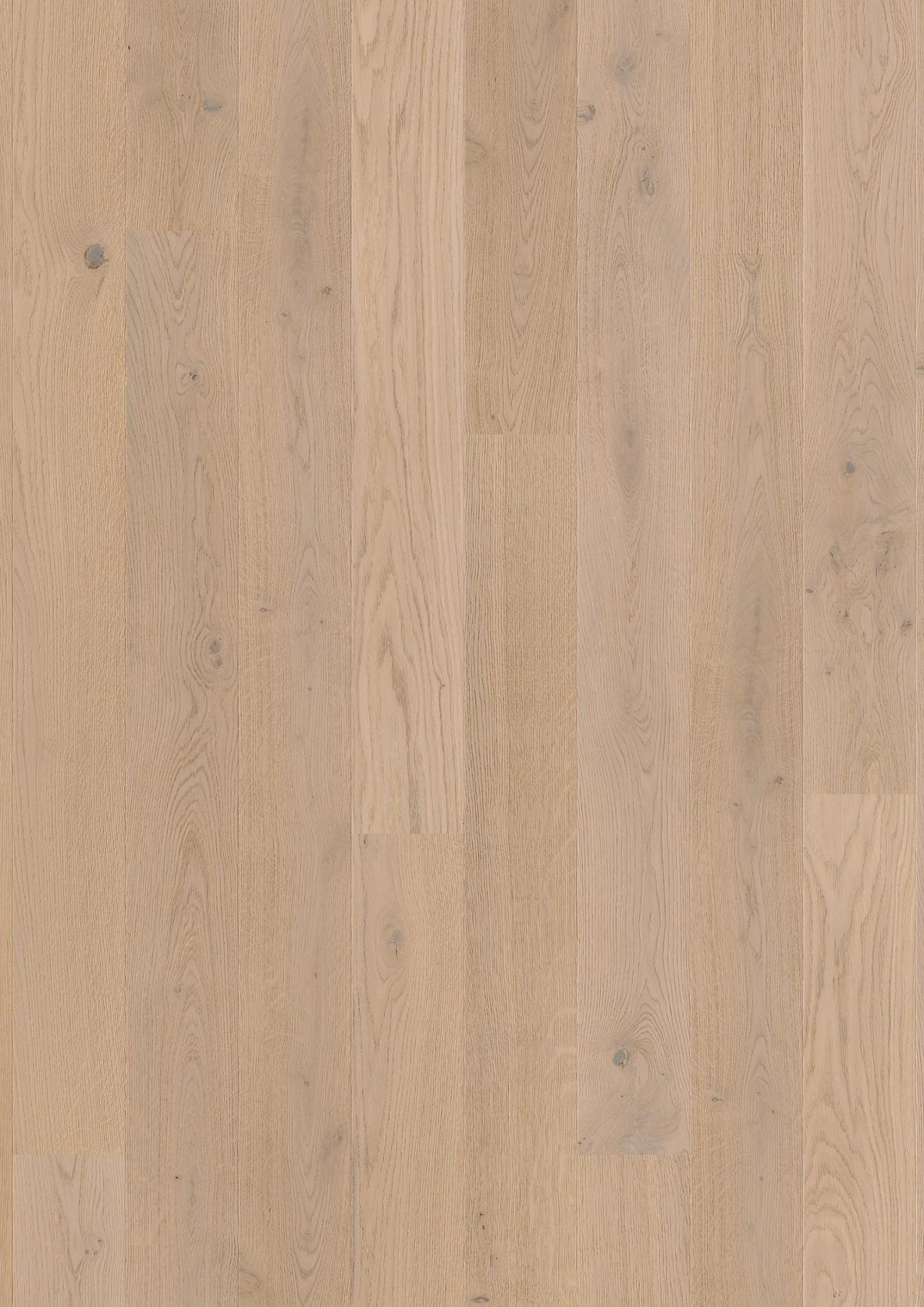 Boen Animoso Engineered Fresh White Oak Planks Flooring, Brushed & L/Matt Pro: 14.0 x 138 x 2,200 mm