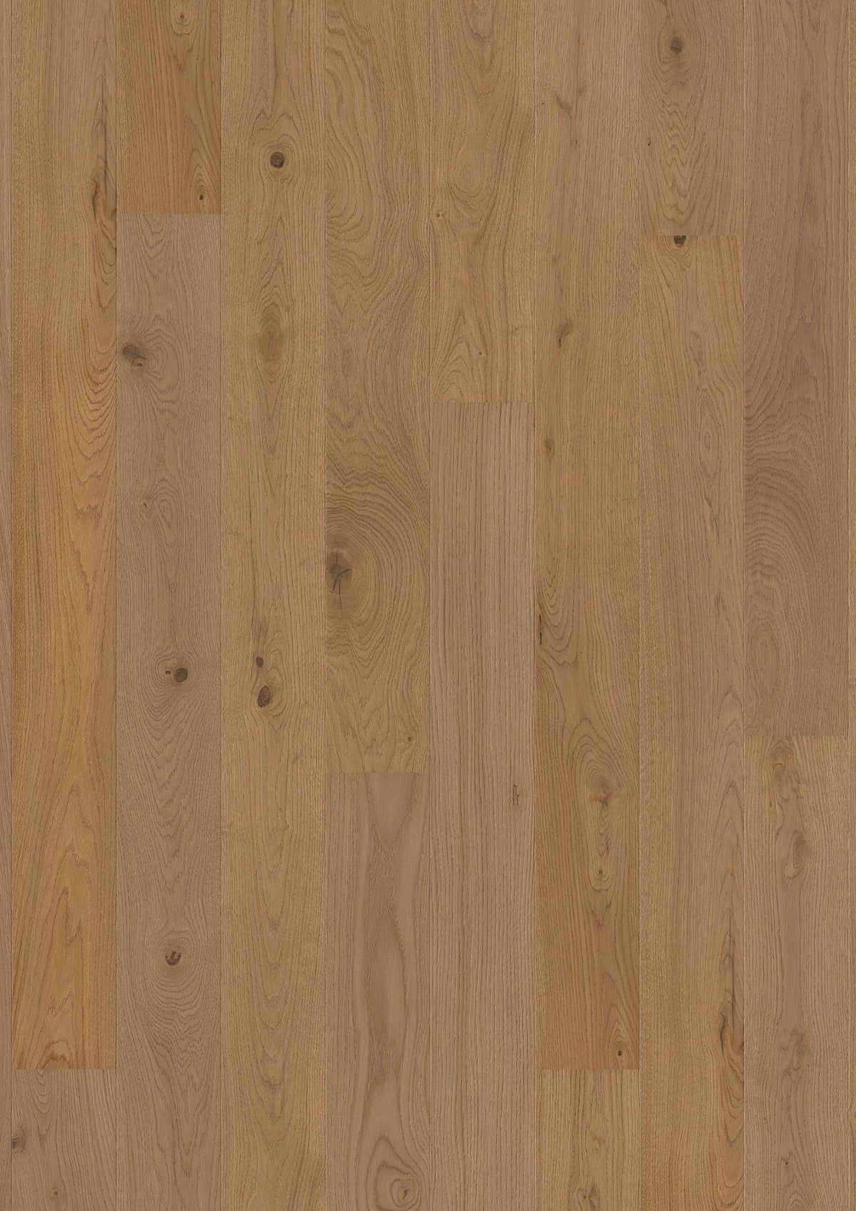Boen Animoso Engineered Medium Grey Oak Planks Flooring, Brushed & L/Matt Plus: 14.0 x 138 x 2,200 mm