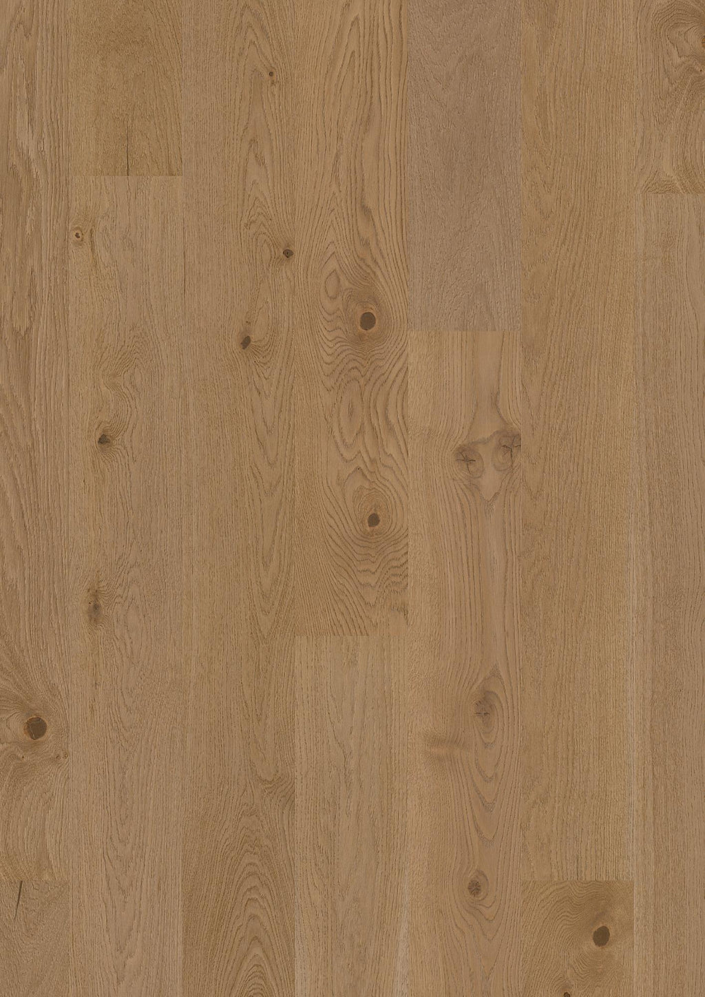 Boen Animoso Engineered Medium Grey Oak Planks Flooring, Brushed & L/Matt Plus: 13.2 x 181 x 2,200 mm