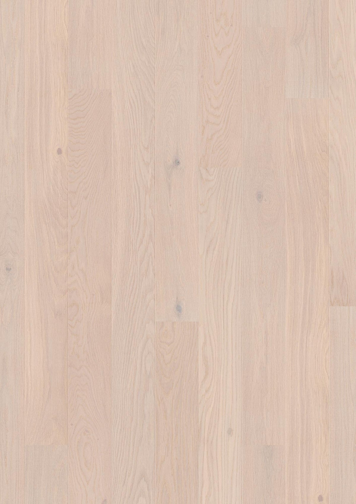 Boen Animoso Engineered Pearl Oak Planks Flooring, L/Natural: 14.0 x 138 x 2,200 mm