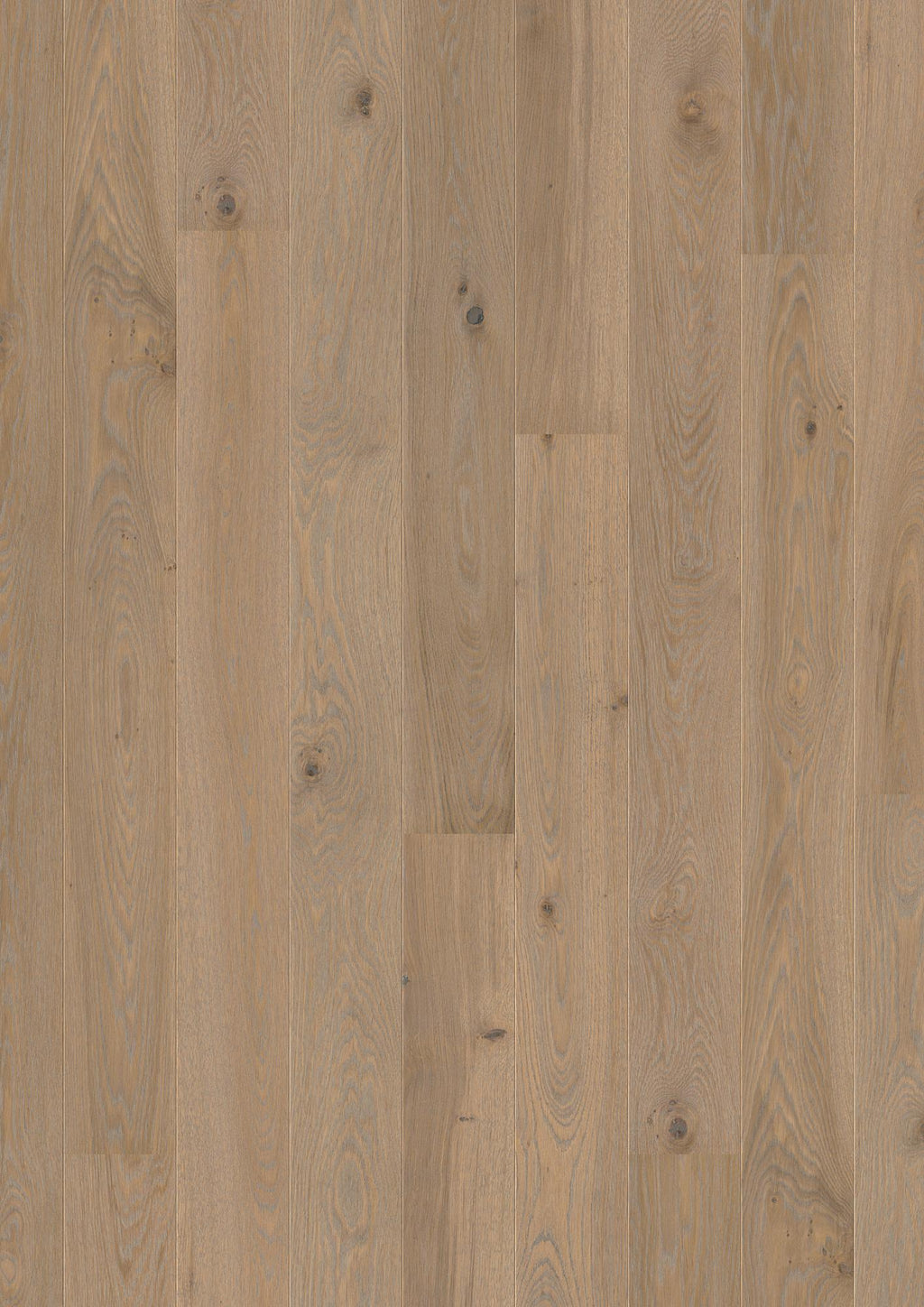 Boen Animoso Engineered Warm Grey Oak Planks Flooring, Brushed & L/Pure: 14.0 x 138 x 2,200 mm