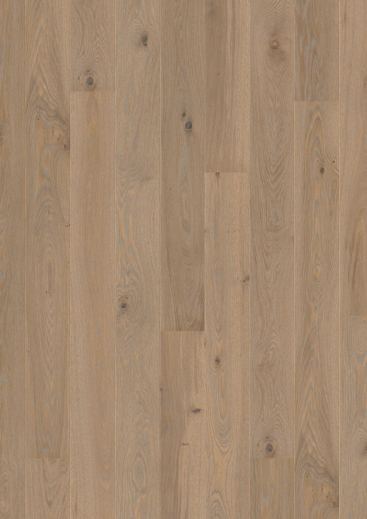 Boen Animoso Engineered Warm Grey Oak Planks Flooring, Brushed & L/Pure: 14.0 x 138 x 2,200 mm