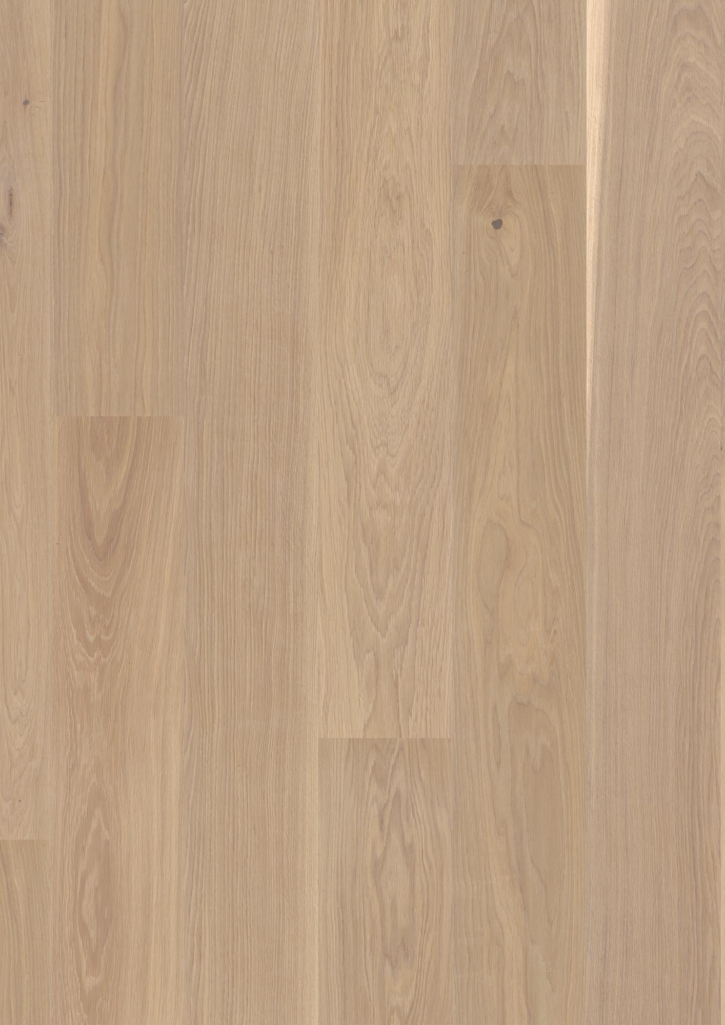 Boen Andante Engineered White Oak Planks Flooring, Unbrushed & L/Natural: 14.0 x 209 x 2,200 mm