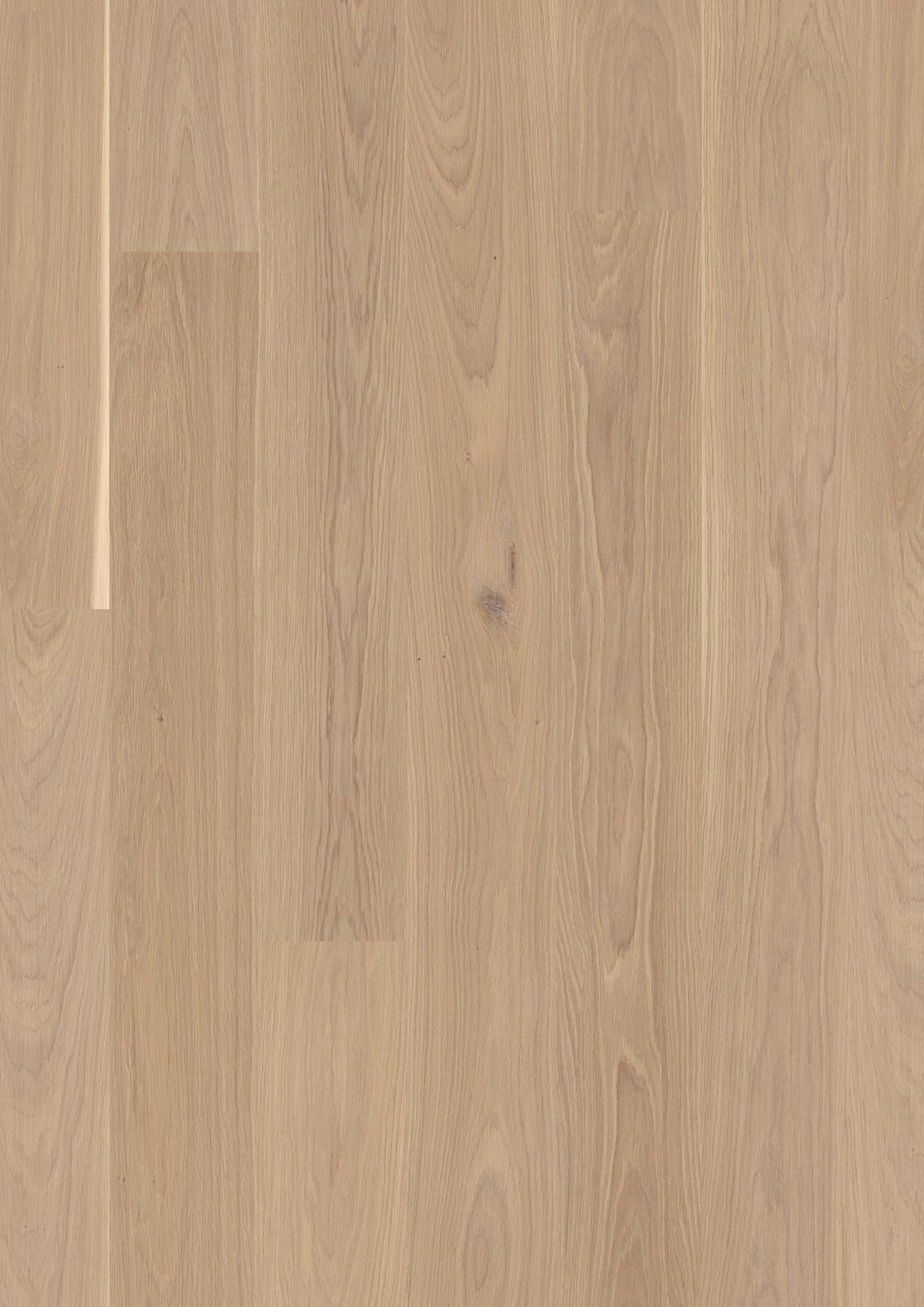 Boen Andante Engineered White Oak Planks Flooring, Brushed & L/Natural: 13.2 x 181 x 2,200 mm