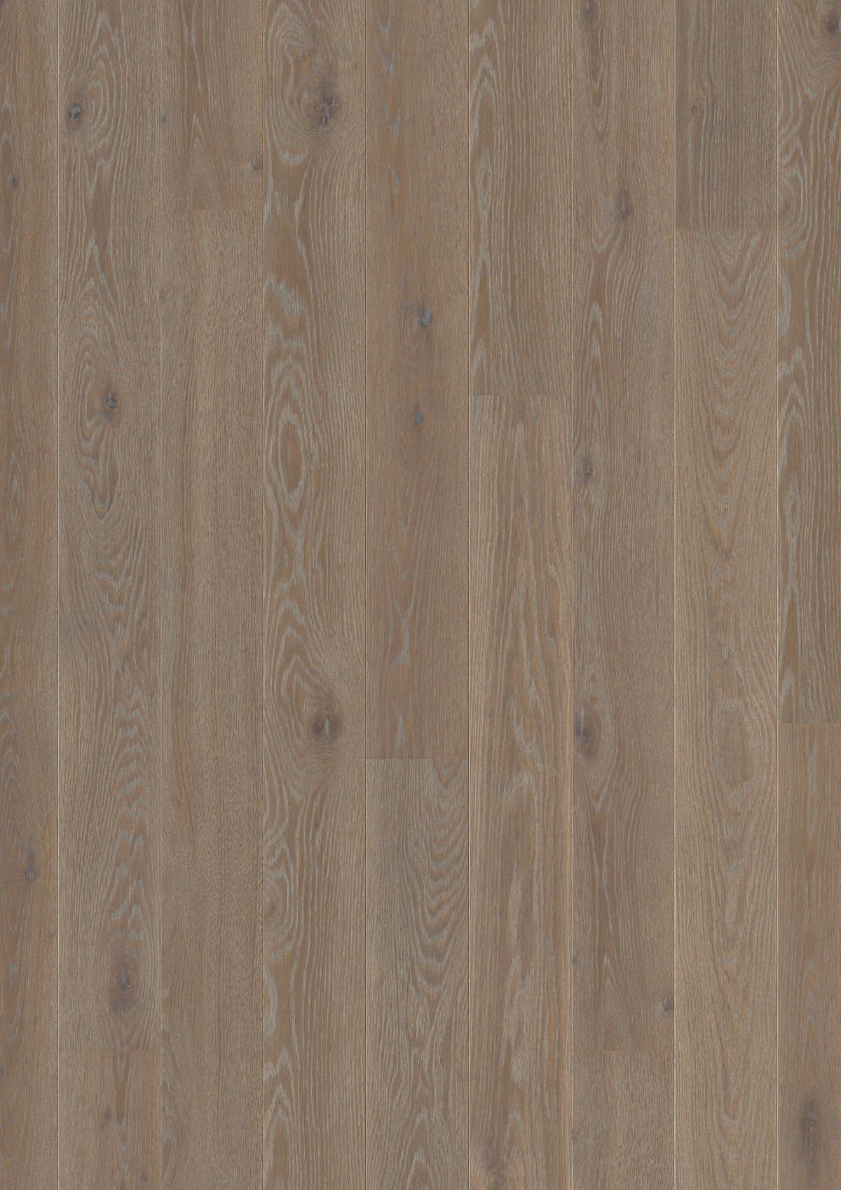 Boen Animoso Engineered India Grey Oak Planks Flooring, Brushed & L/Pure: 14.0 x 138 x 2,200 mm