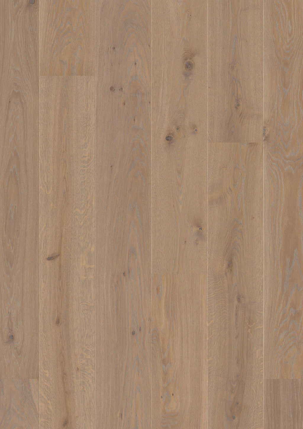Boen Animoso Engineered Warm Grey Oak Planks Flooring, Brushed & L/Pure: 14.0 x 209 x 2,200 mm