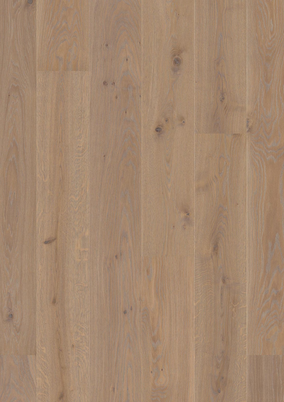 Boen Animoso Engineered Warm Grey Oak Planks Flooring, Brushed & L/Pure: 14.0 x 209 x 2,200 mm