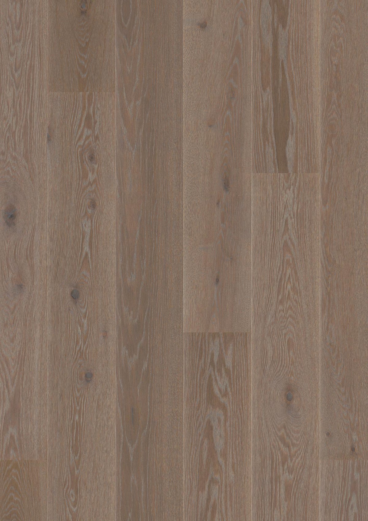 Boen Animoso Engineered India Grey Oak Planks Flooring, Brushed & L/Pure: 14.0 x 209 x 2,200 mm