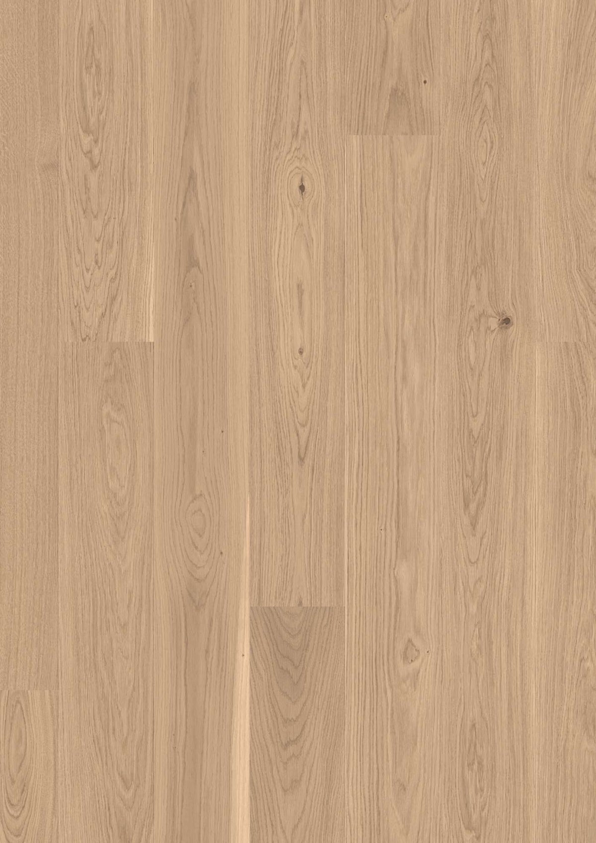Boen Andante Engineered Oak Planks Flooring, Brushed & L/Pure: 14.0 x 181 x 2,200 mm