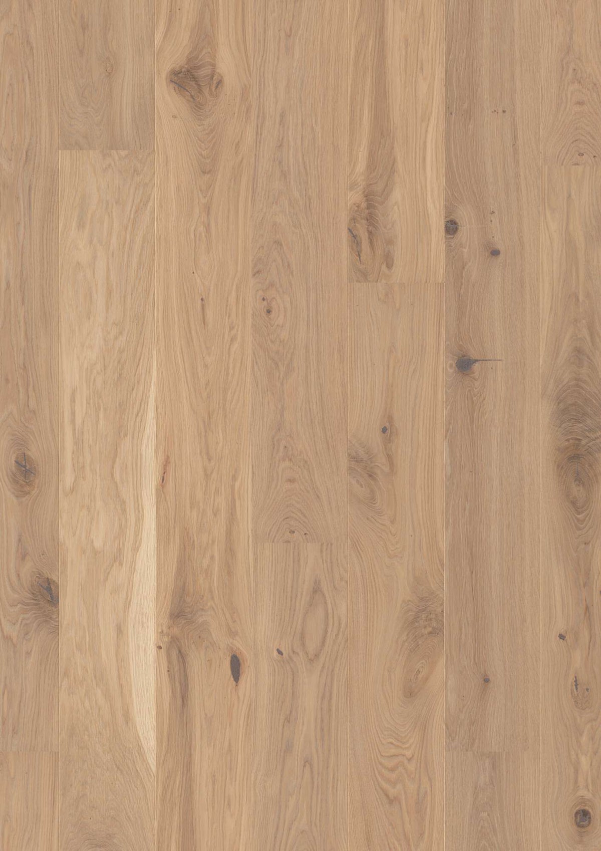 Boen Vivo Engineered Oak Planks Flooring, Brushed & L/Pure: 14.0 x 181 x 2,200 mm