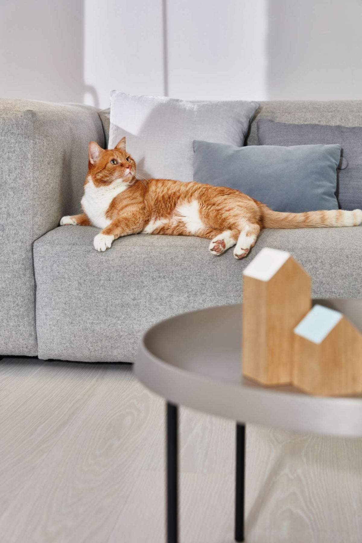 Boen Andante Engineered White Oak Planks Flooring, Brushed & L/Pure: 14.0 x 209 x 2,200 mm