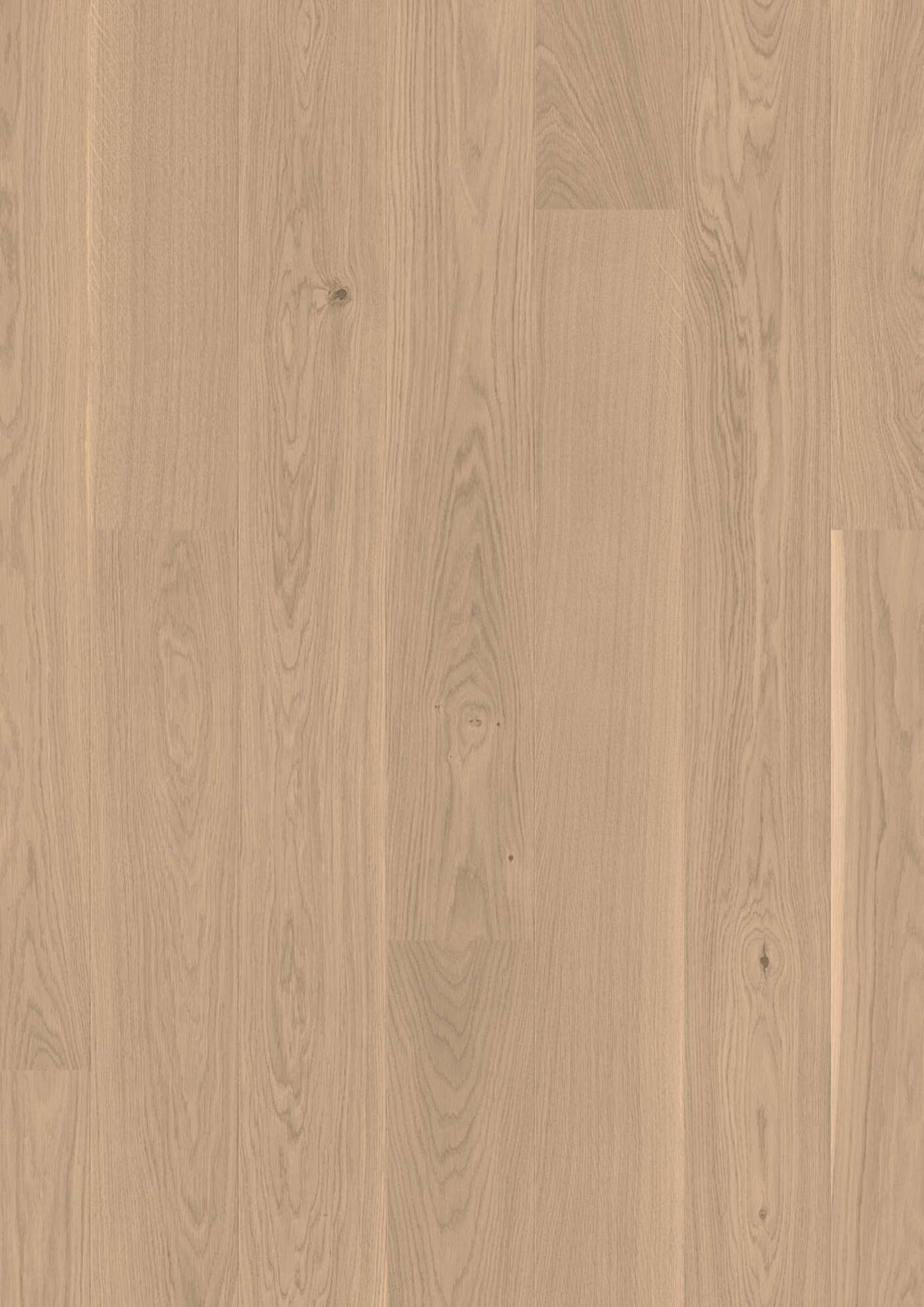 Boen Andante Engineered White Oak Planks Flooring, L/Matt: 14.0 x 181 x 2,200 mm