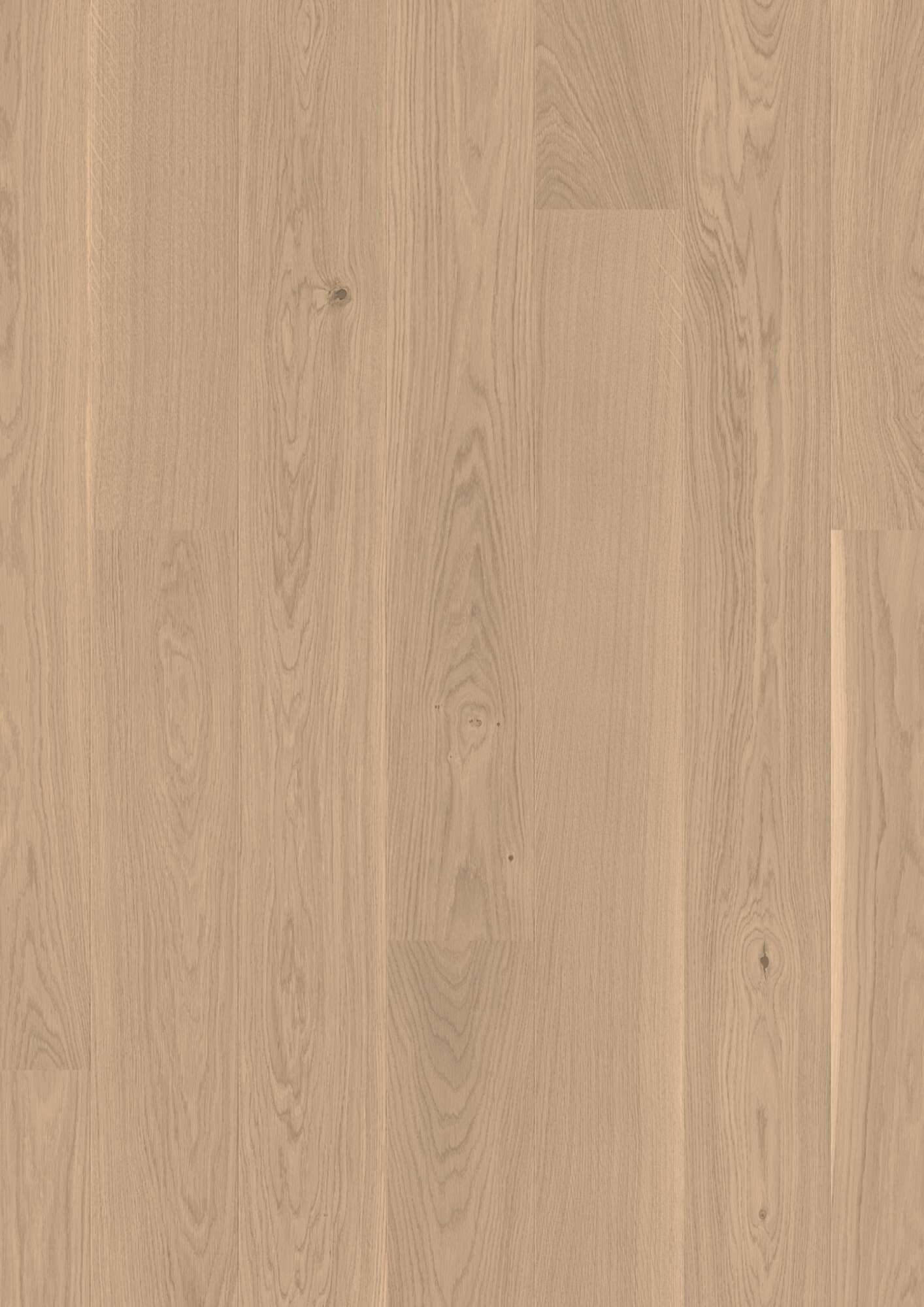 Boen Andante Engineered White Oak Planks Flooring, L/Matt: 14.0 x 181 x 2,200 mm