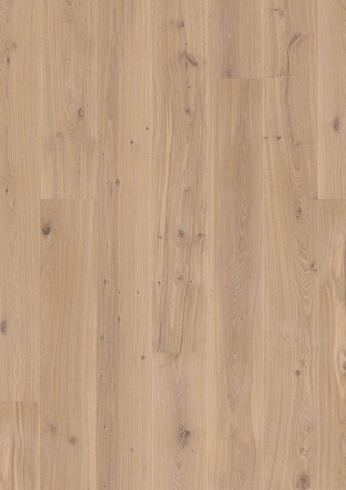 Boen Animoso Engineered White Oak Planks Flooring, L/Matt: 14.0 x 181 x 2,200 mm