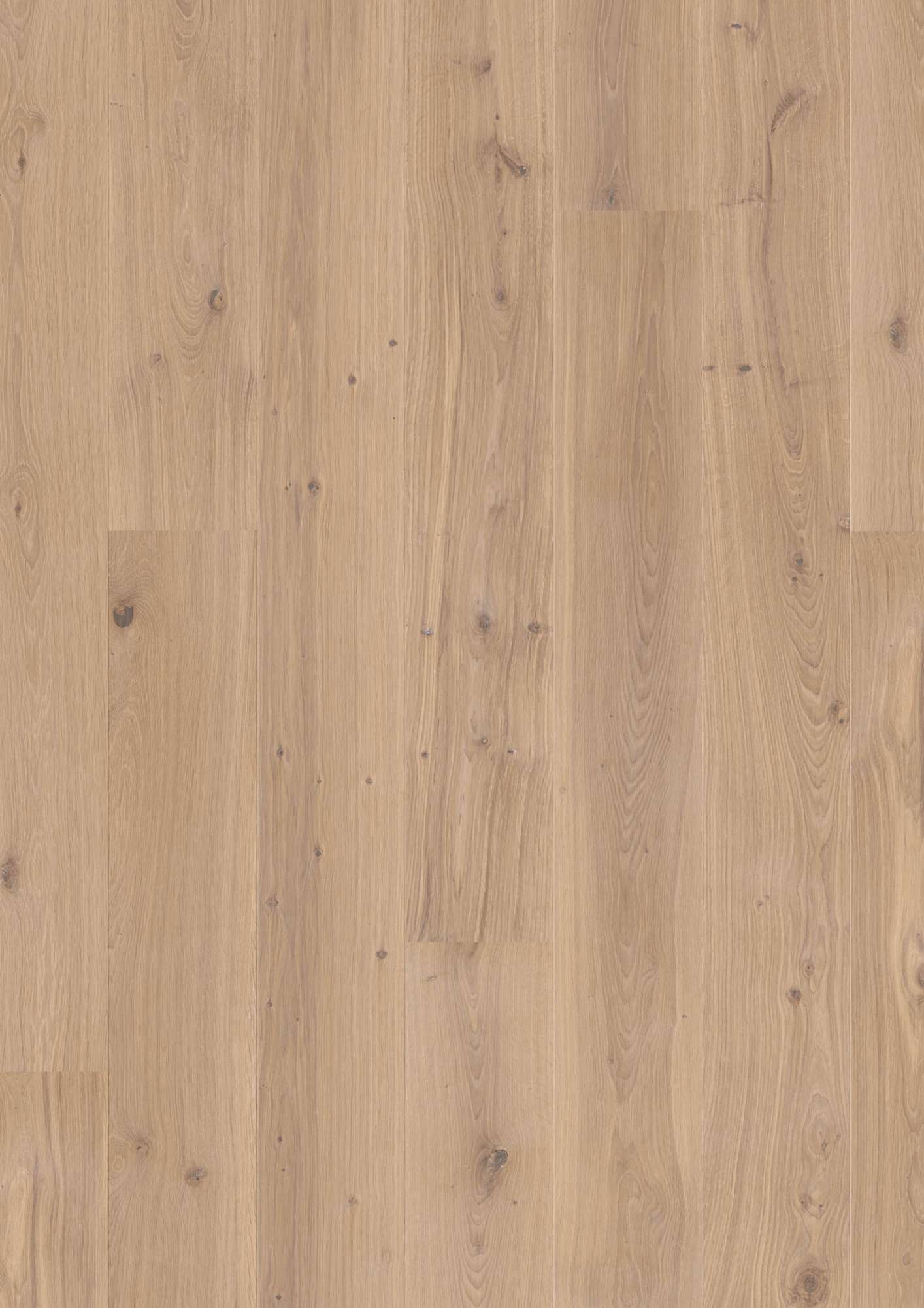 Boen Animoso Engineered White Oak Planks Flooring, L/Matt: 14.0 x 181 x 2,200 mm