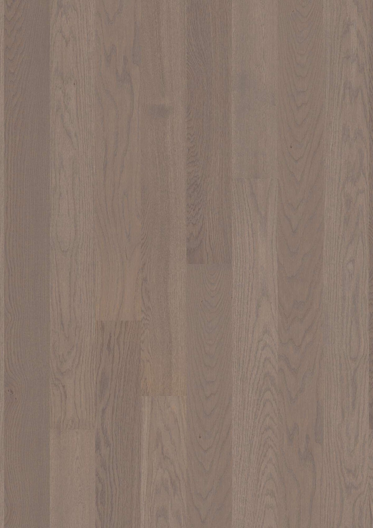 Boen Concerto Engineered Arizona Oak Planks Flooring, L/Matt: 14.0 x 138 x 2,200 mm