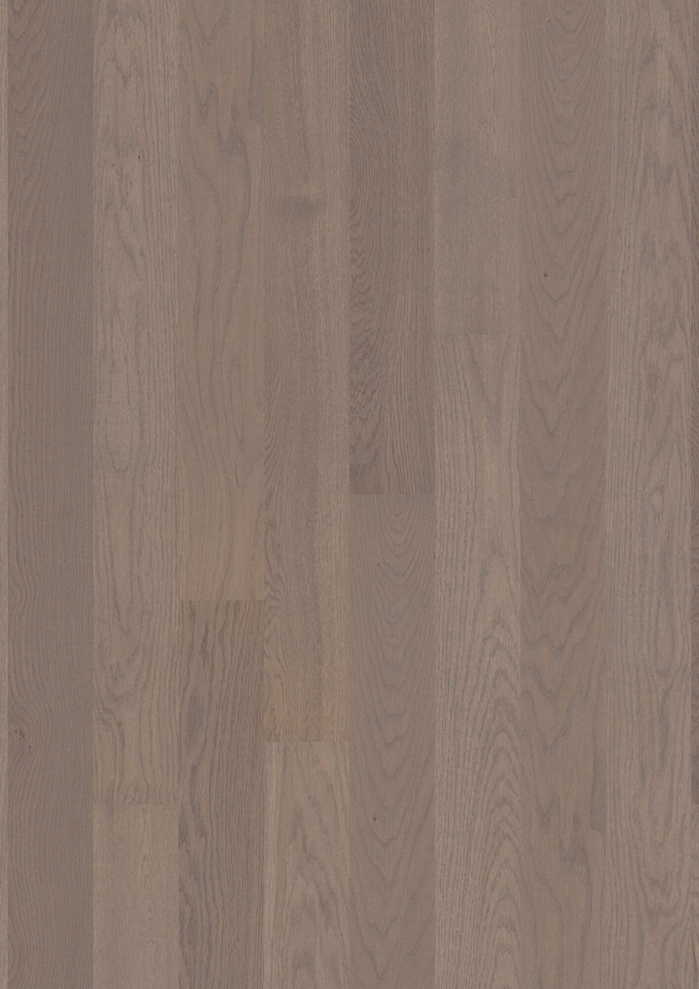 Boen Concerto Engineered Arizona Oak Planks Flooring, L/Matt: 14.0 x 138 x 2,200 mm